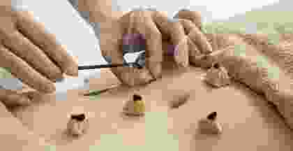 image-caption-type-4-3